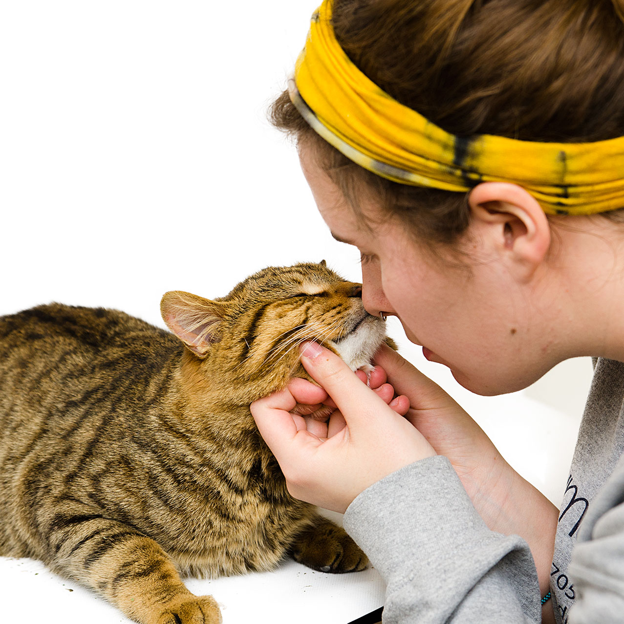 How To Be Animal Care Specialist