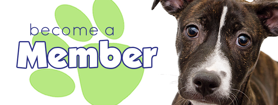 Become a Member - Lenawee Humane Society