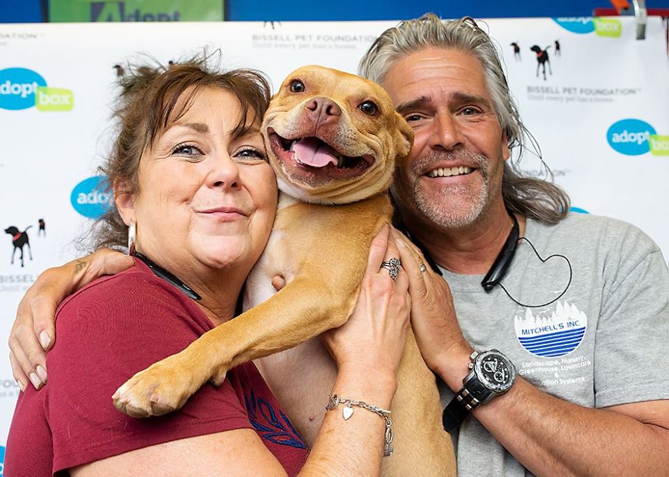 Empty The Shelters Adoption Event - Lenawee Humane Society