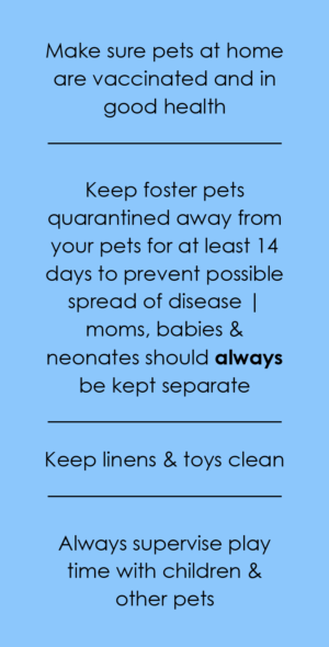 Foster Tips
