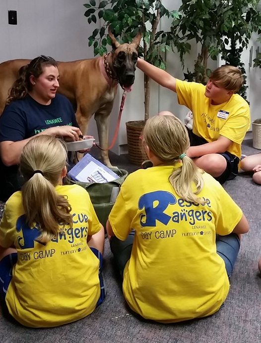 Summer Day Camps Lenawee Humane Society