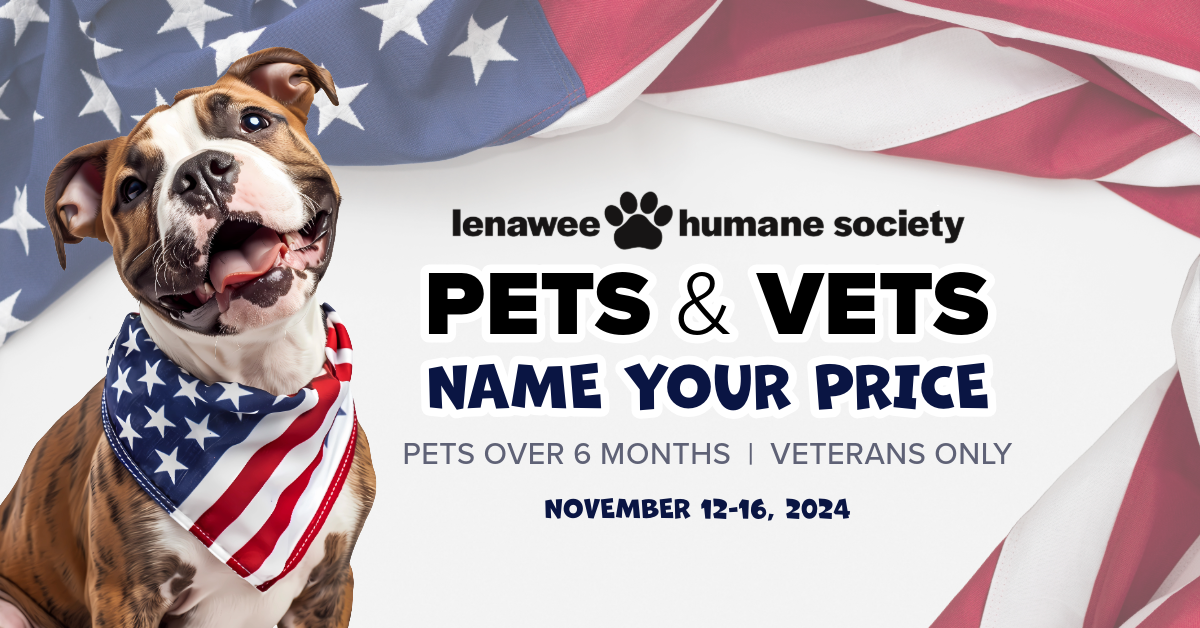 Pets and Vets Adpption Header