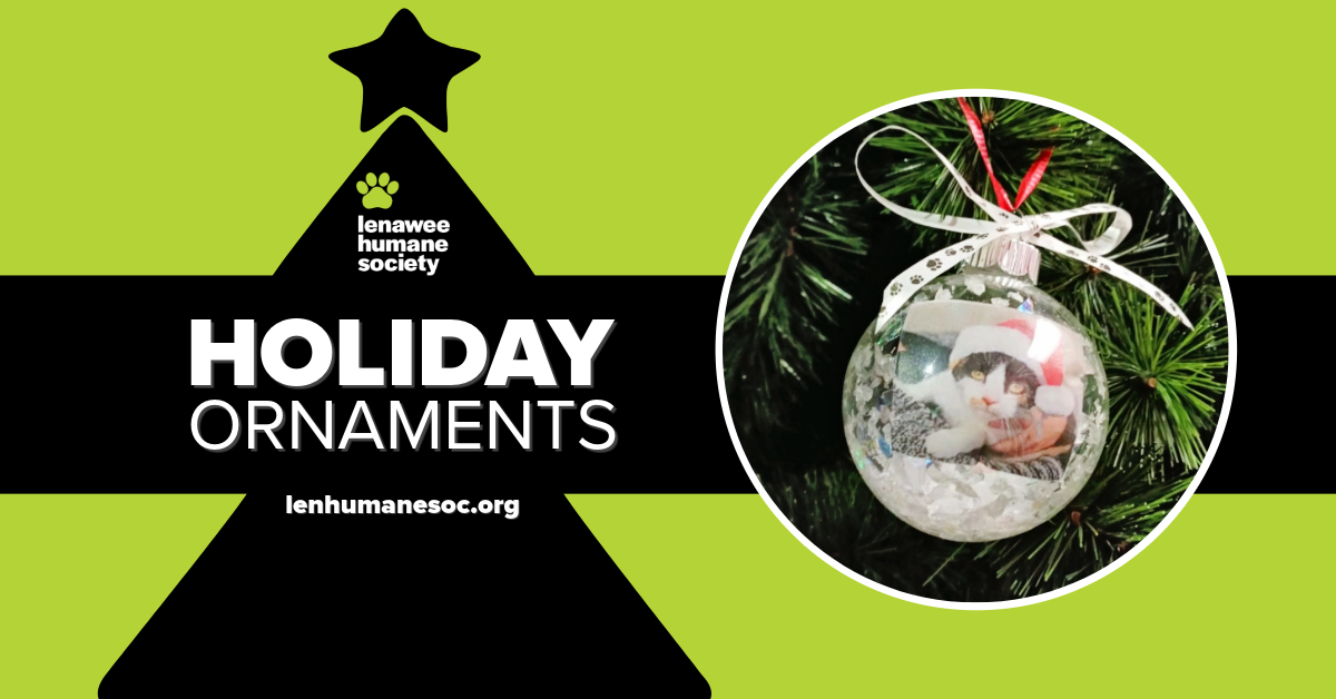 Holiday Ornaments-Banner